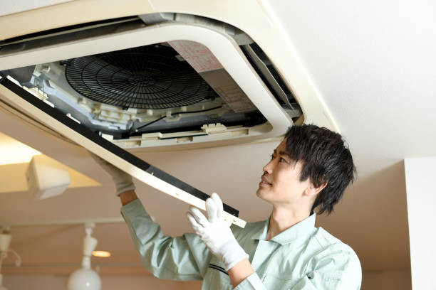 Best Ductwork Cleaning Services  in Flat Rock, MI