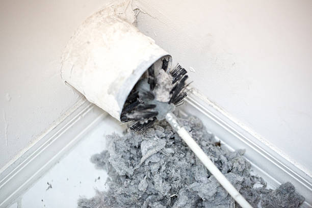 Best HVAC Air Duct Cleaning  in Flat Rock, MI