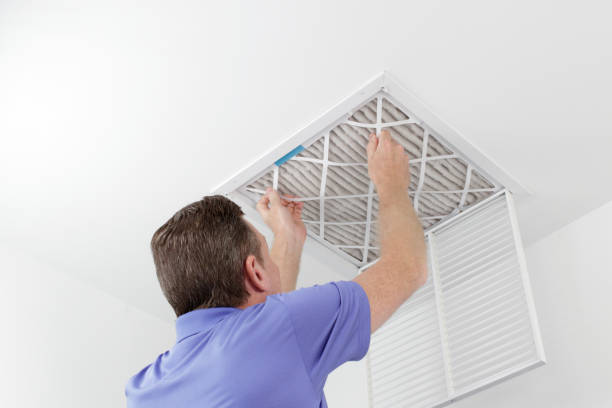 Best Affordable Air Duct Cleaning  in Flat Rock, MI
